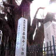 浄土真宗本願寺派 麻布山 善福寺
