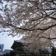 高野山真言宗 高野山東京別院