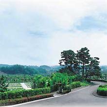 東京霊園