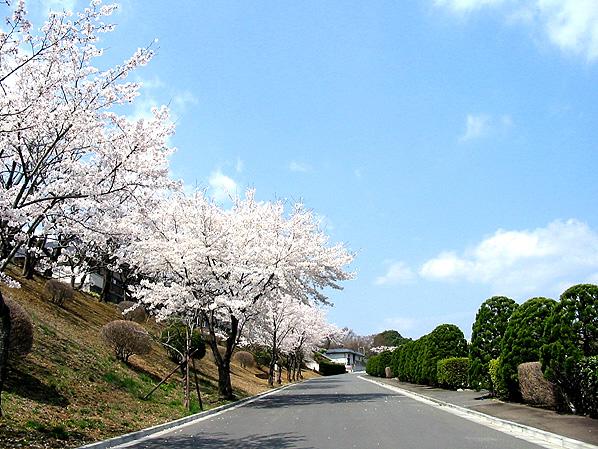 東京霊園