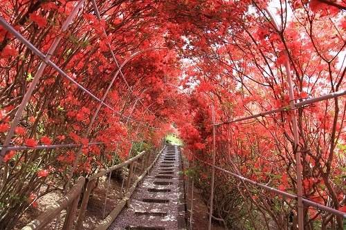 西多摩霊園