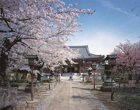 寛永寺墓地