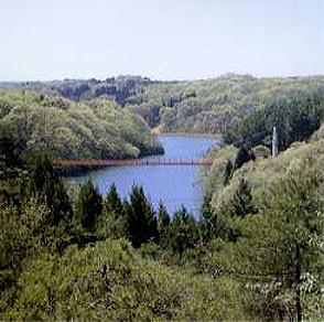 松陵台墓園