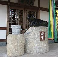 苗秀寺アショカ苑