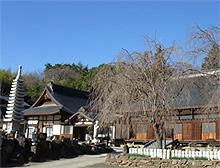 浄居寺