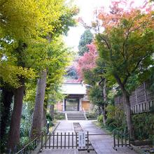 臨済宗大本山円覚寺山内 続燈庵
