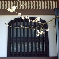 臨済宗大本山円覚寺山内 続燈庵