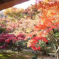 臨済宗建長寺派 長寿寺