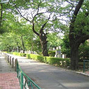 都立青山霊園