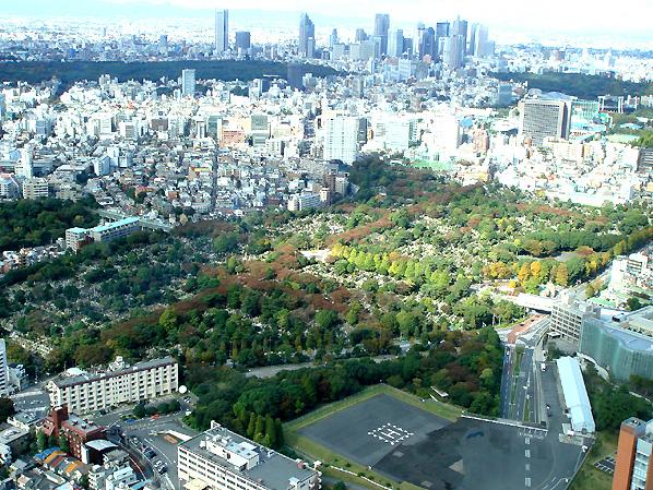 都立青山霊園