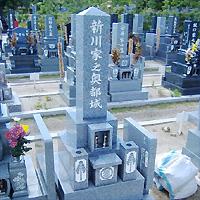 神道型
