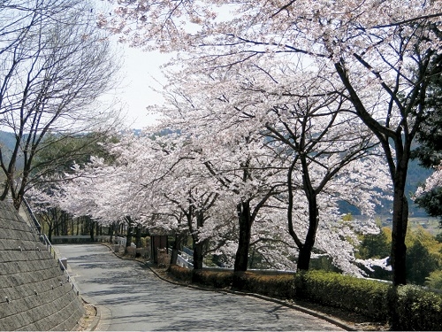 大多摩霊園
