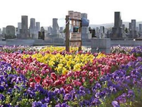 真駒内滝野霊園