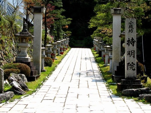 高野山 奥の院 永代供養墓「佛舎利宝塔」
