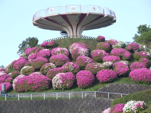 総本山四天王寺 高安山霊園