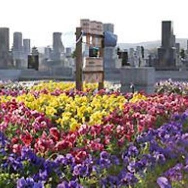 真駒内滝野霊園内 やすらぎの里 ラベンダーガーデン